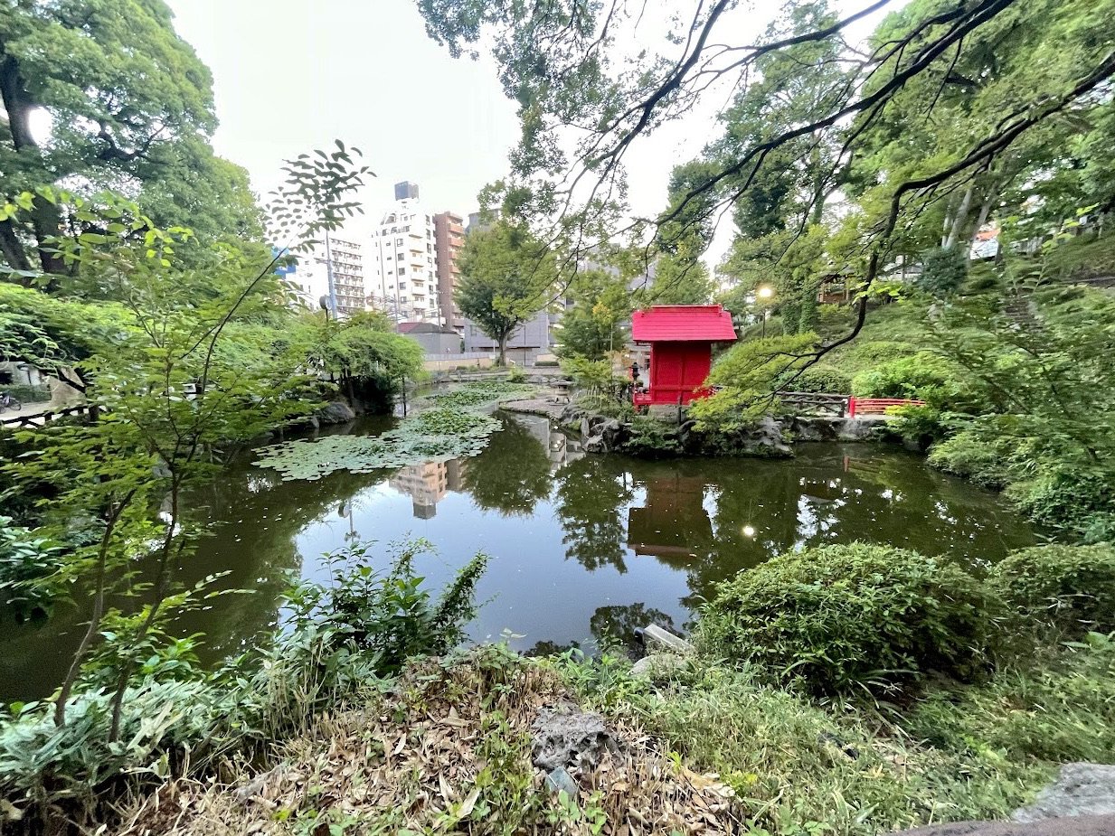 🌳 스도 공원 이미지 5